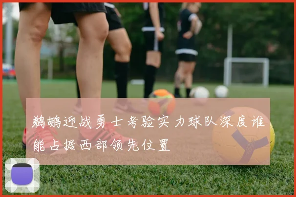 鹈鹕迎战勇士考验实力球队深度谁能占据西部领先位置