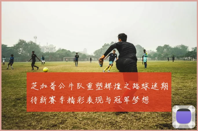 芝加哥公牛队重塑辉煌之路球迷期待新赛季精彩表现与冠军梦想