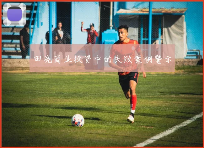 田亮商业投资中的失败案例警示