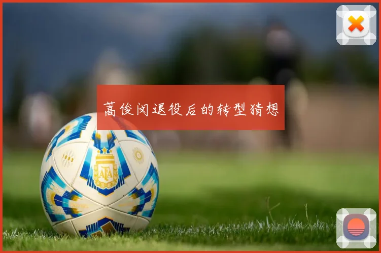 蒿俊闵退役后的转型猜想