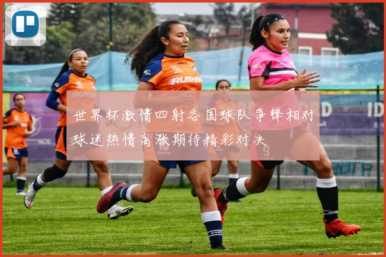 世界杯激情四射各国球队争锋相对球迷热情高涨期待精彩对决