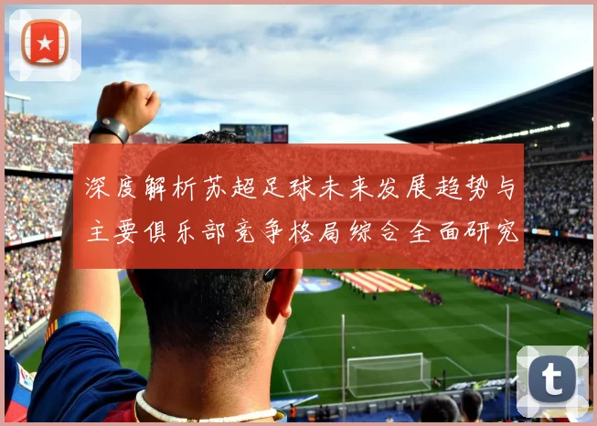 深度解析苏超足球未来发展趋势与主要俱乐部竞争格局综合全面研究