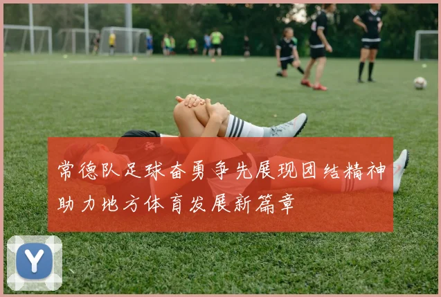 常德队足球奋勇争先展现团结精神助力地方体育发展新篇章
