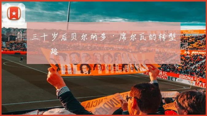 三十岁后贝尔纳多·席尔瓦的转型之路