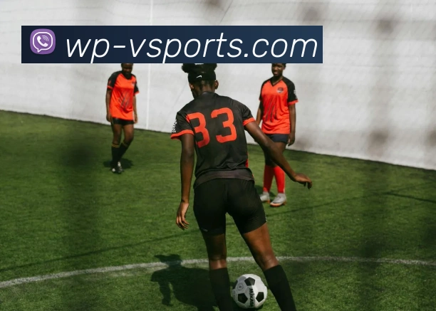 v体育官网平台生态图