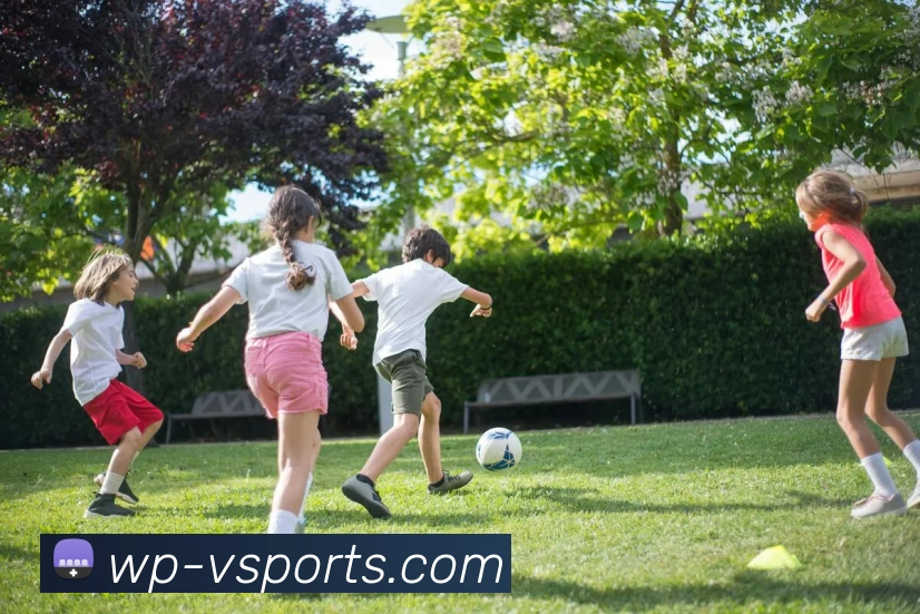 v体育官网全站App